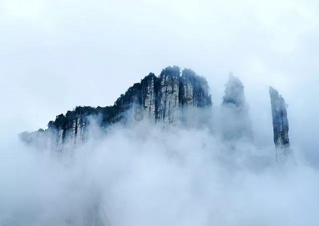 燃烧吧大脑免广告最新版