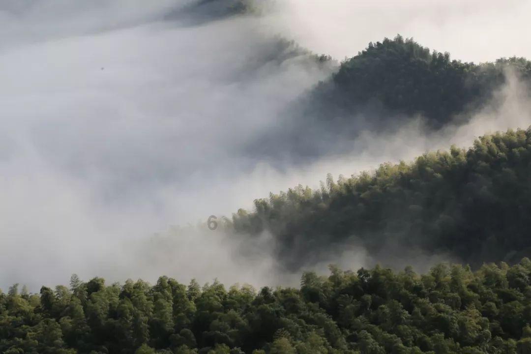 机智问答网页-智能助手,为你解答各种问题-男人天天做深蹲,是不是可以刺激雄激素分泌,你怎么看?