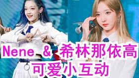 沿河:志愿服务下基层 尽展青春风采