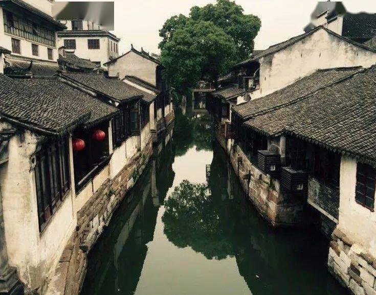 紫色魔法师守城中文版